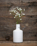 Vaasi Albacken kolme eri väriä-Ruukut/Vaasit/Maljakot-STOREFACTORY-Lahja ja sisustus Pussukka